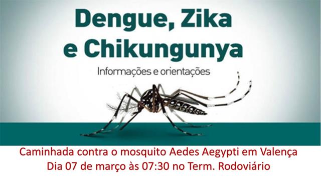 dengue ed