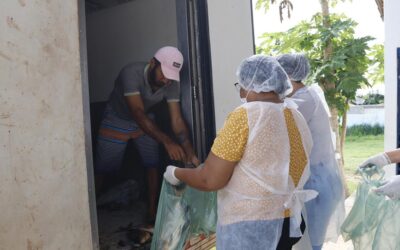 Projeto Peixe na Mesa beneficia mais de mil e quinhentas famílias no município de Valença