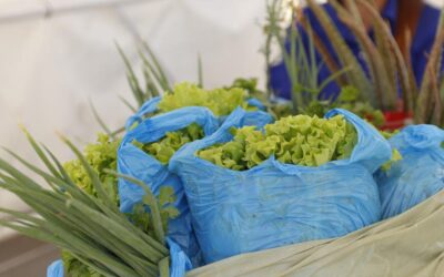 Segunda edição da Feira da Agricultura Familiar foi realizada em Valença