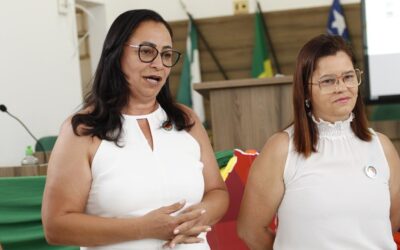 ICEP realiza V Formação Territorial de Equipes Técnicas do GE4 e GE5 nos municípios de Francinópolis e Arraial ICEP realiza V Formação Territorial de Equipes Técnicas do GE4 e GE5 nos municípios de Francinópolis e Arraial