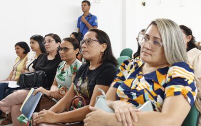 ICEP realiza V Formação Territorial de Equipes Técnicas do GE4 e GE5 nos municípios de Francinópolis e Arraial ICEP realiza V Formação Territorial de Equipes Técnicas do GE4 e GE5 nos municípios de Francinópolis e Arraial