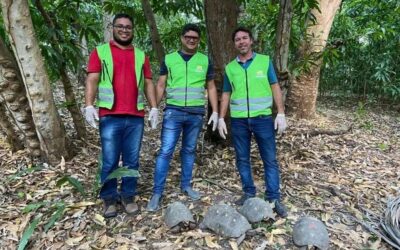 Ibama realiza soltura de animais silvestres em Aroazes Ibama realiza soltura de animais silvestres em Aroazes