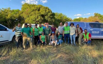 Ibama realiza soltura de animais silvestres em Aroazes Ibama realiza soltura de animais silvestres em Aroazes