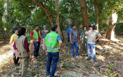 Ibama realiza soltura de animais silvestres em Aroazes Ibama realiza soltura de animais silvestres em Aroazes