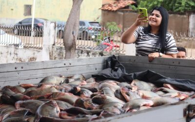 Prefeitura de Francinópolis distribui cestas básicas e mais de uma tonelada de peixes