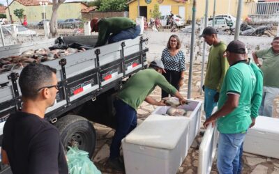 Prefeitura de Francinópolis distribui cestas básicas e mais de uma tonelada de peixes