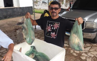 Prefeitura de Francinópolis distribui cestas básicas e mais de uma tonelada de peixes